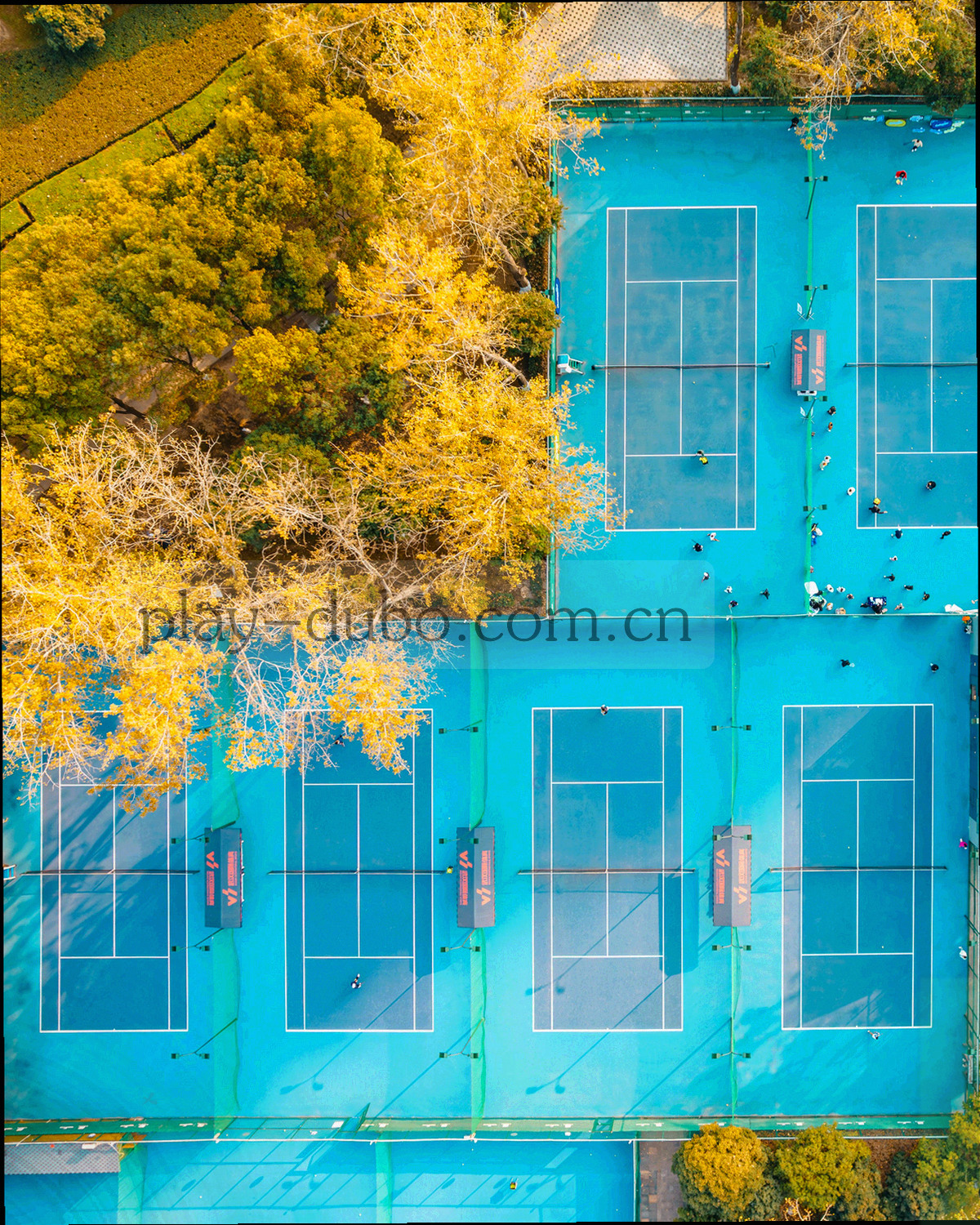 深墨绿桌面上的旧扑克牌与筹码边缘，低饱和胶片质感，画面中没有人物